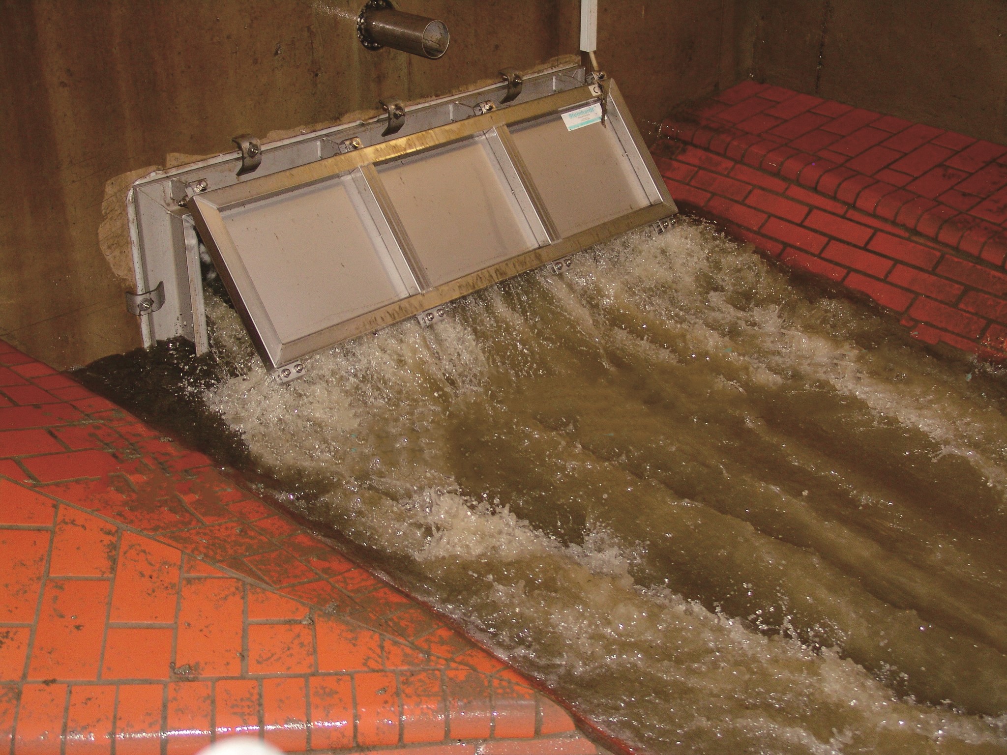 ���͔r��_ϴ�T